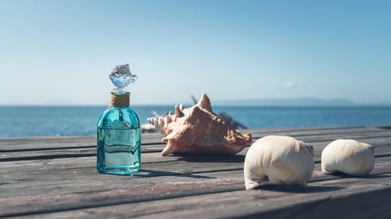  Mejores perfumes de verano